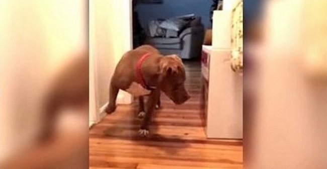 Андрей Соколов