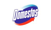 Domestos купить оптом